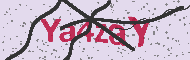 Codice captcha